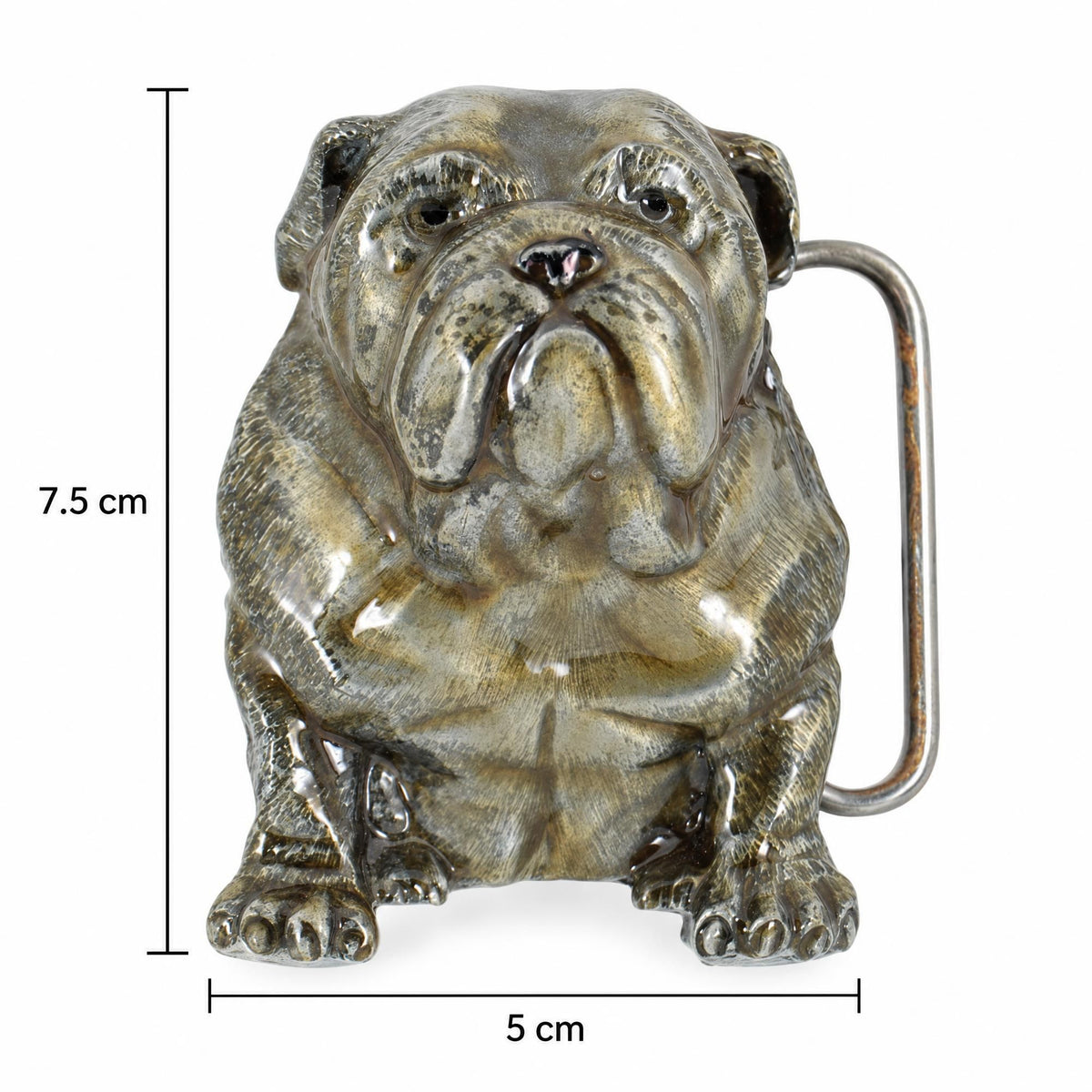 Bulldog Belt Buckle shown with its 5 cm width and 7.5 cm height measurements