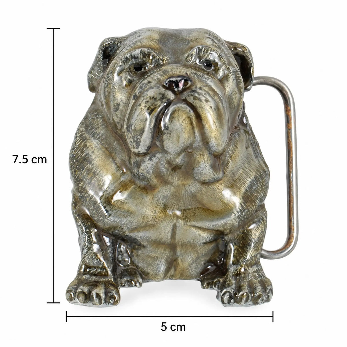 Bulldog Belt Buckle shown with its 5 cm width and 7.5 cm height measurements