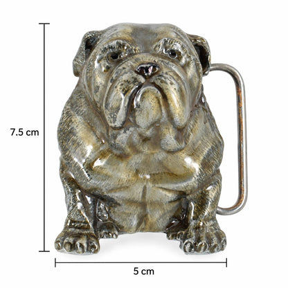 Bulldog Belt Buckle shown with its 5 cm width and 7.5 cm height measurements