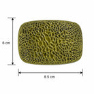 An olive brass textured rectangular box with rounded corners, shown with black dimension lines indicating a height of 6 cm and a width of 8.5 cm on a white background.