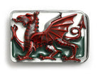 Welsh Dragon Red Enamel Patriotic Flag Belt Buckle