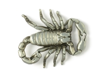 Scorpion Belt Buckle