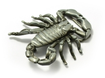 Scorpion Belt Buckle