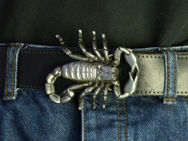 Scorpion Belt Buckle